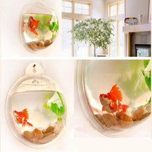 Wall Mounted Fish Bowl-Acrylic